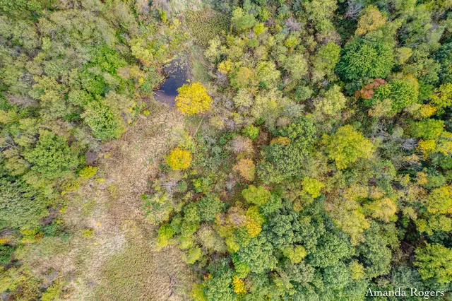 $297,500 | 0 Sayles Road, Lowell, MI 49331