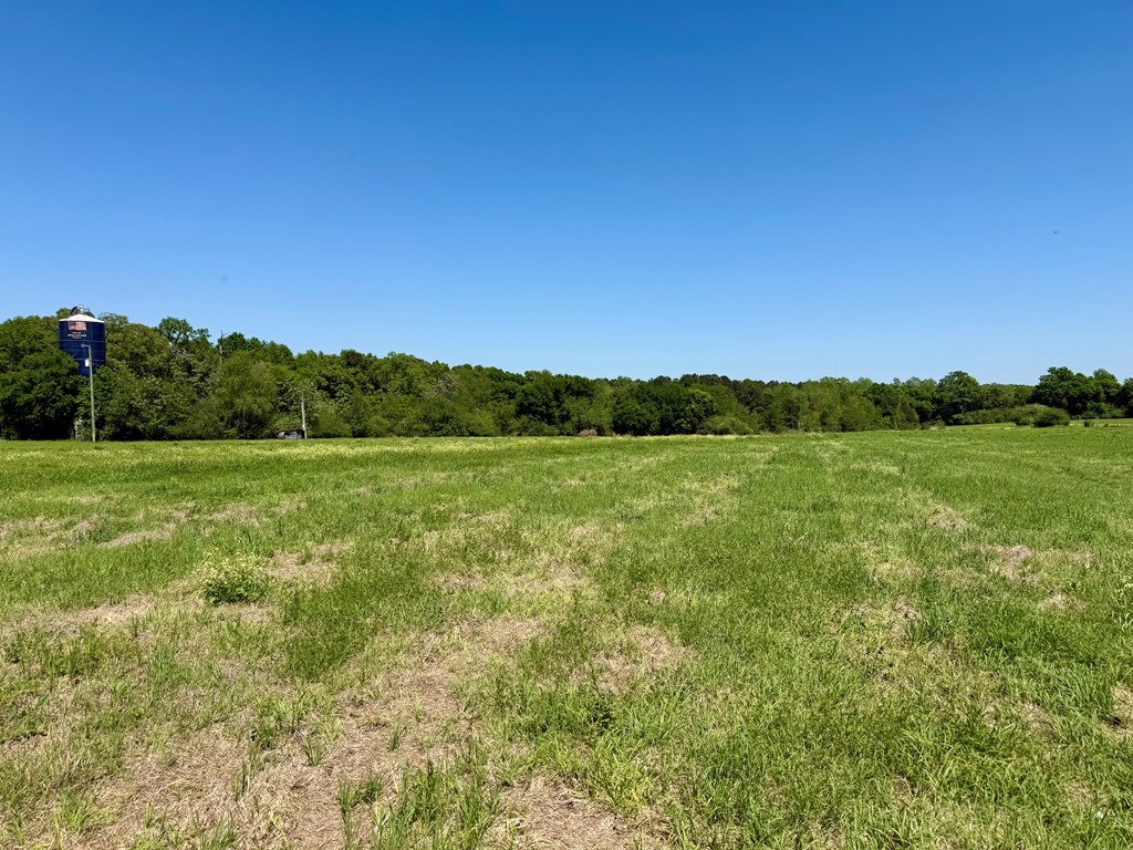 11.25-acres Huskey Road Dothan, AL 36303 - Photo 13 of 13