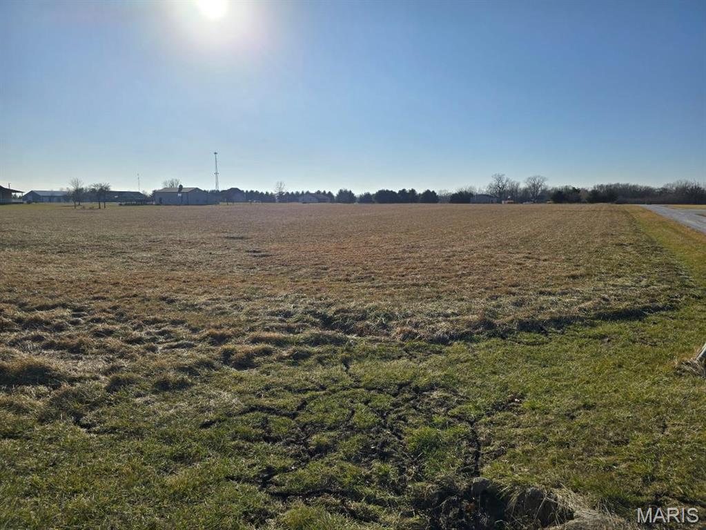 8519 Cardinal Hill Road Rochester, IL 62563 - Photo 3 of 5