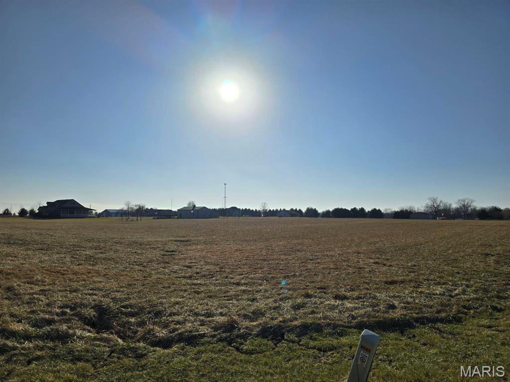 8519 Cardinal Hill Road Rochester, IL 62563 - Photo 4 of 5