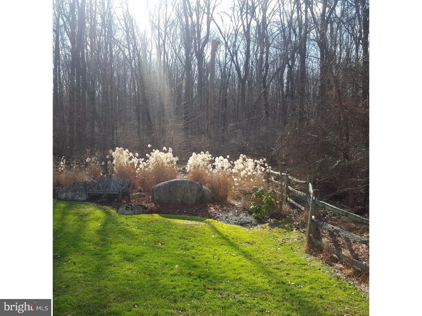 143 Old Bethlehem Road Quakertown, PA 18951 - Photo 16 of 19 Back Yard