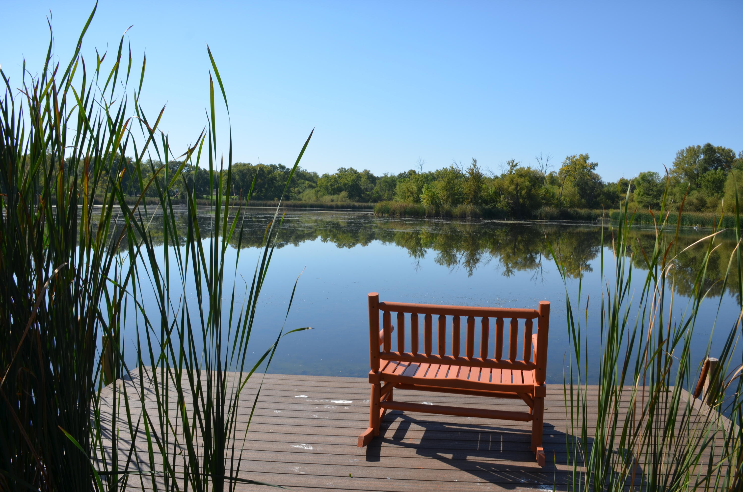 8262 Heron Lake Road St. John, IN 46373 - Photo 15 of 51 a view of a lake with a large yard and potted plants