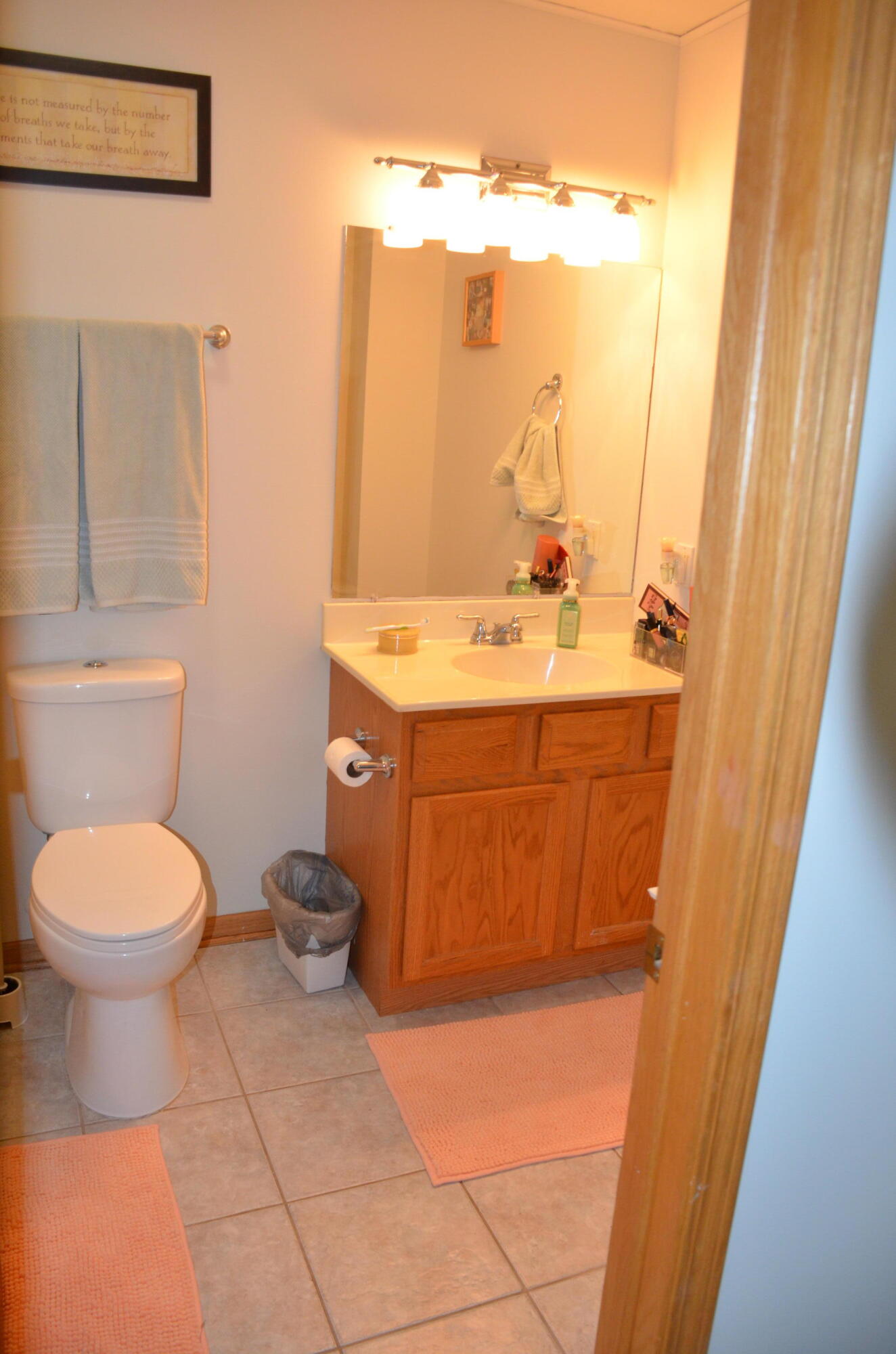 8262 Heron Lake Road St. John, IN 46373 - Photo 18 of 51 a bathroom with a toilet a sink and mirror