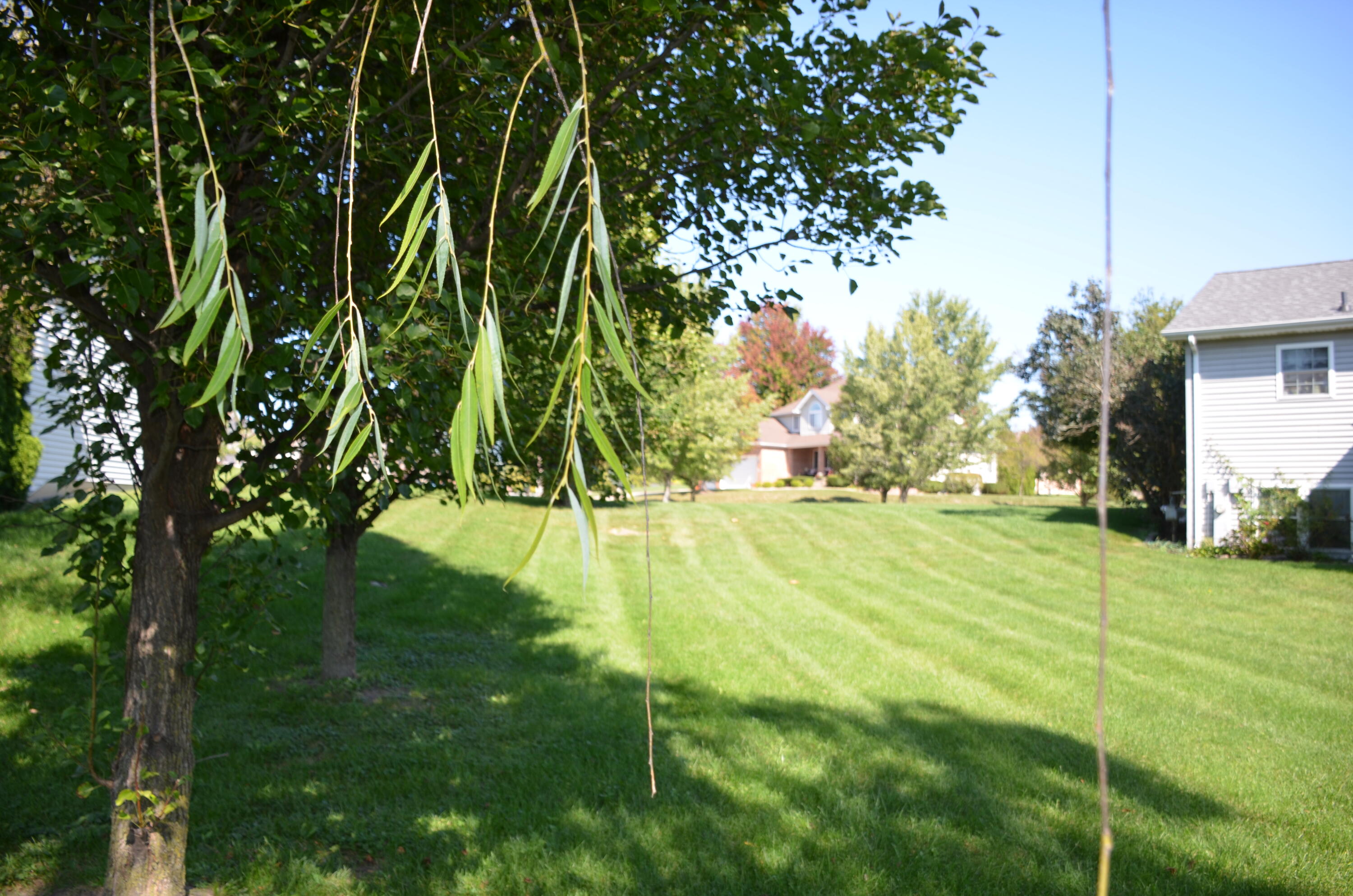 8262 Heron Lake Road St. John, IN 46373 - Photo 8 of 51 3000x1987