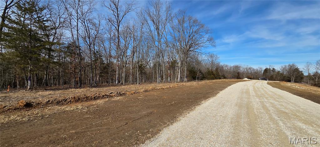 10 Tanglefoot Farms Road Festus, MO 63028 - Photo 2 of 4