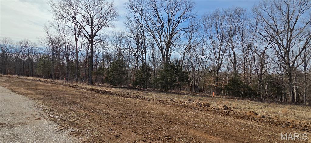 1970 Tanglefoot Farms Road Festus, MO 63028 - Photo 2 of 6