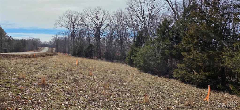 10 Tanglefoot Farms Road Festus, MO 63028 - Photo 3 of 4