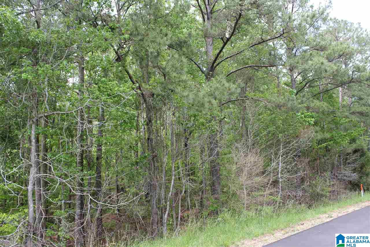 0 County Road 38 Jemison, AL 35085 - Photo 10 of 13