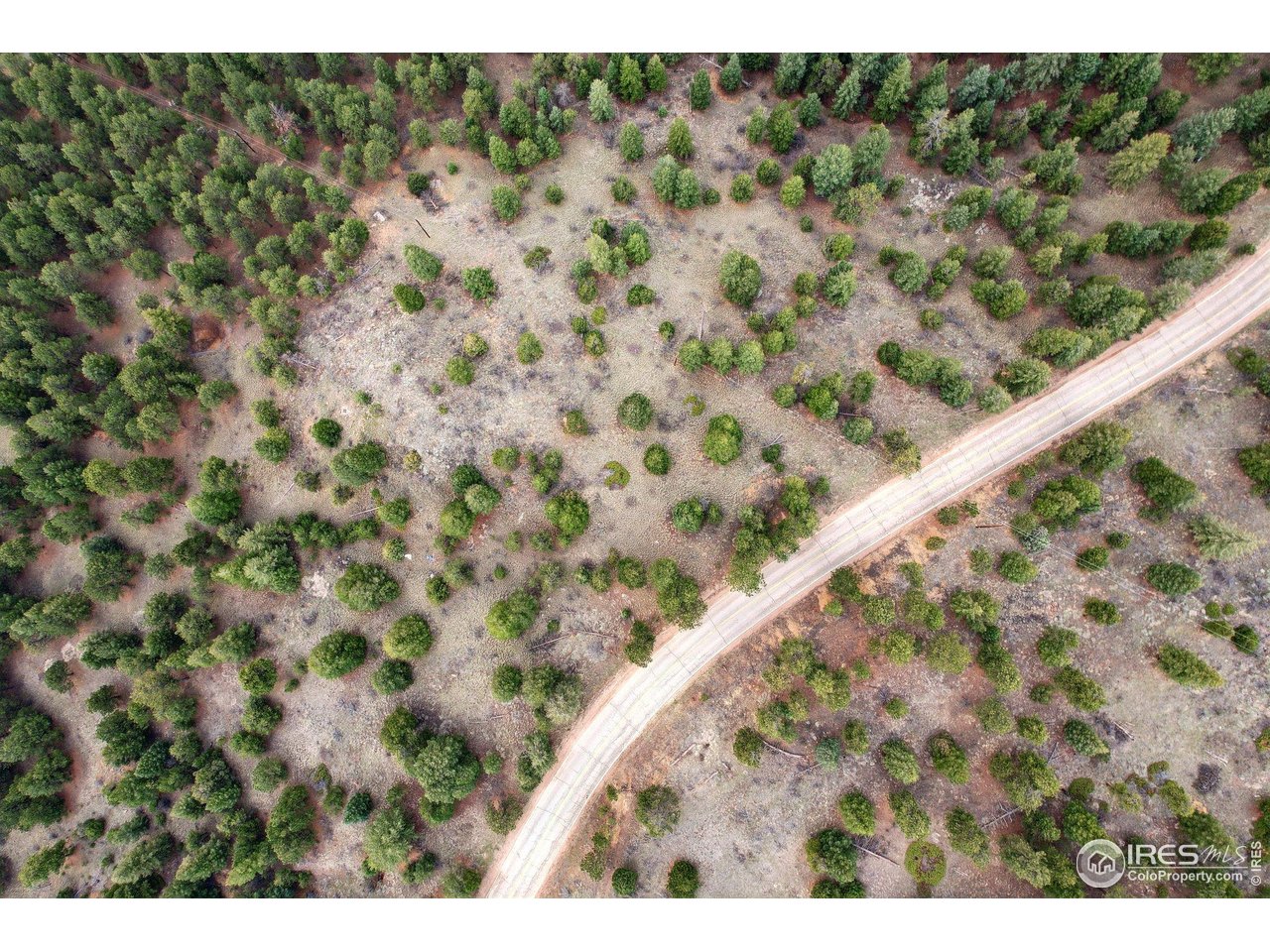 2200 Magnolia Road Nederland, CO 80466 - Photo 4 of 10 a close up of a plant in a balcony