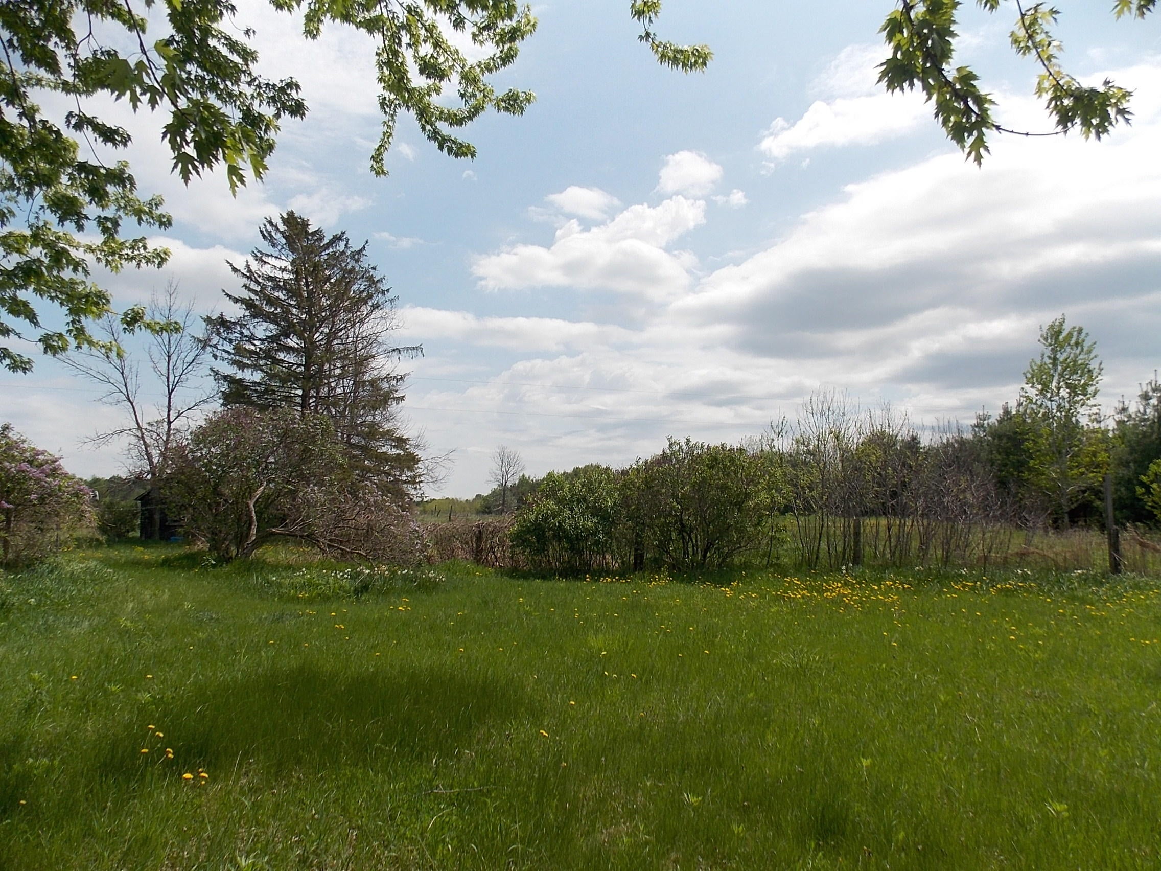 4208 Highway 33 Cheboygan, MI 49721 - Photo 38 of 53 Gallery Image 38