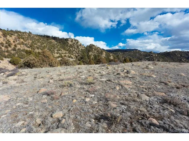 $375,000 | 196 County Road, Nathrop, CO 81236