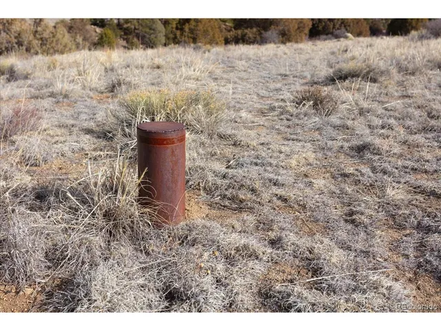 $375,000 | 196 County Road, Nathrop, CO 81236