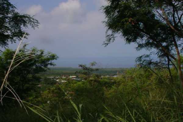 Ancient Trail Captain Cook, HI 96704 - Photo 3 of 6 Gallery Image 3