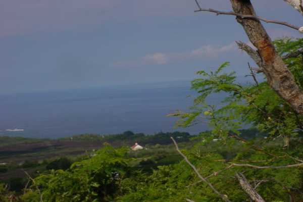 Ancient Trail Captain Cook, HI 96704 - Photo 4 of 6 Gallery Image 4