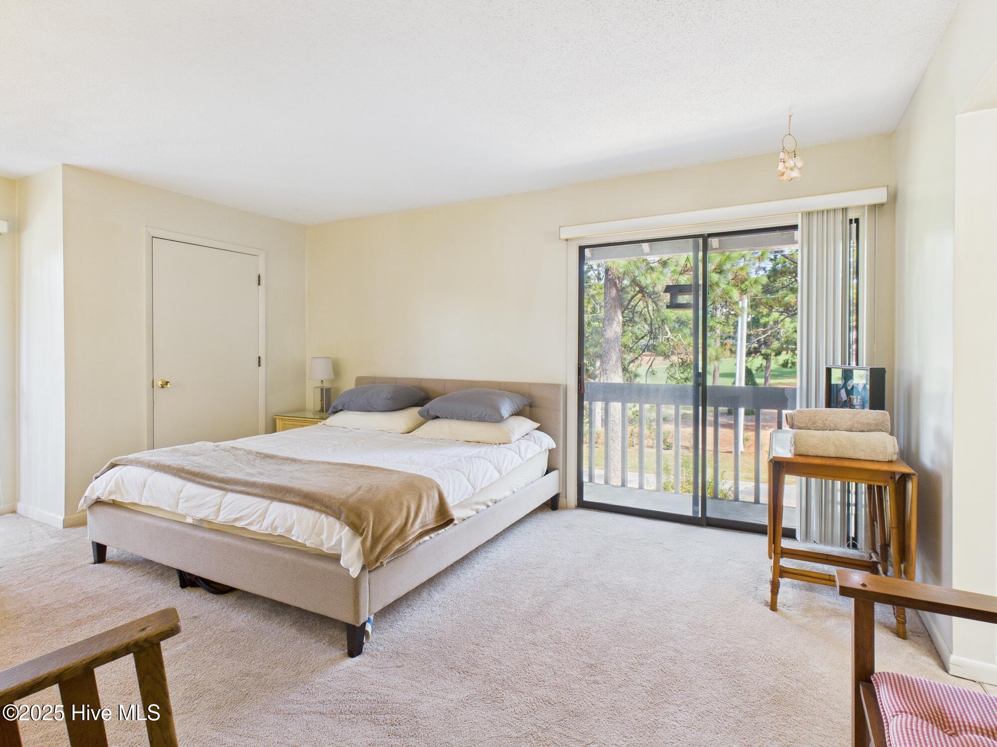 250 Sugar Gum Lane, Unit 201 Pinehurst, NC 28374 - Photo 19 of 40 Master Bedroom