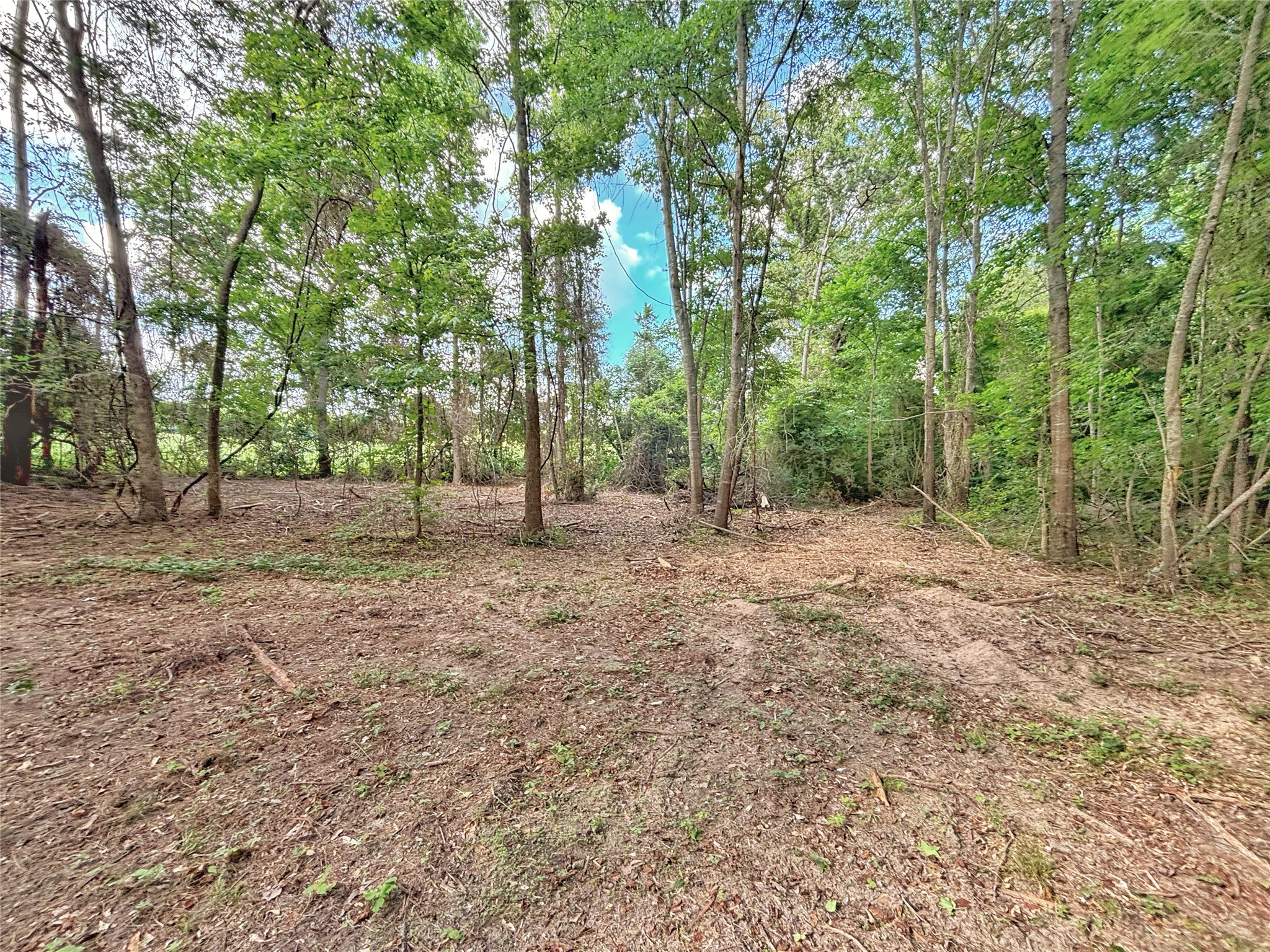 390 County Road 1701 Rusk, TX 75785 - Photo 40 of 43