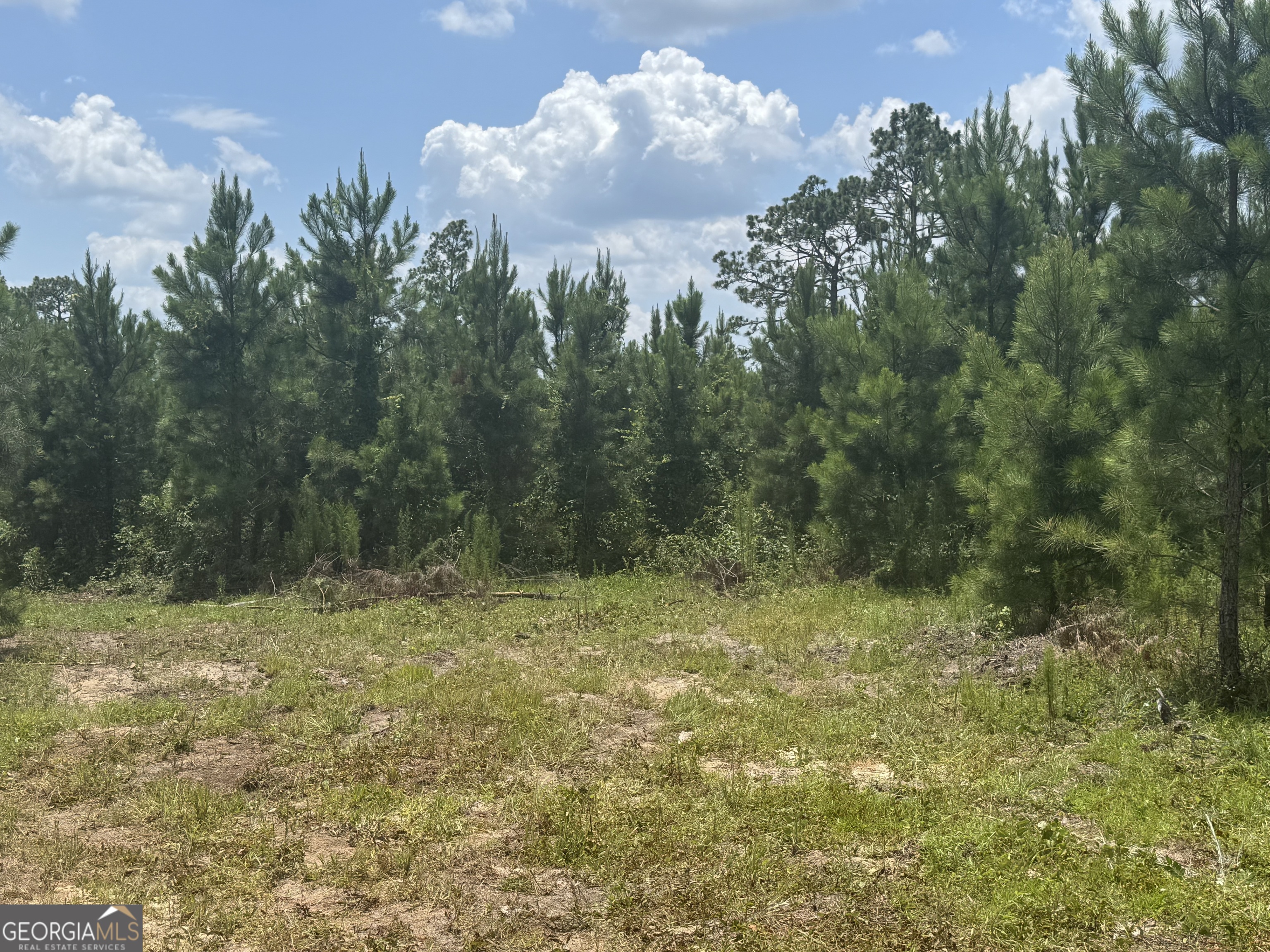 477 Keens Crossing Road East Dublin, GA 31027 - Photo 5 of 12