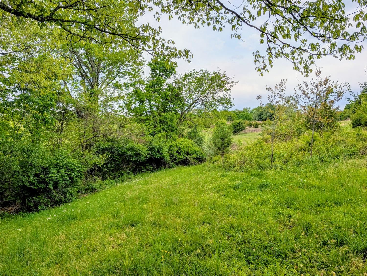 0 Longbranch Road Moores Hill, IN 47032 - Photo 15 of 25