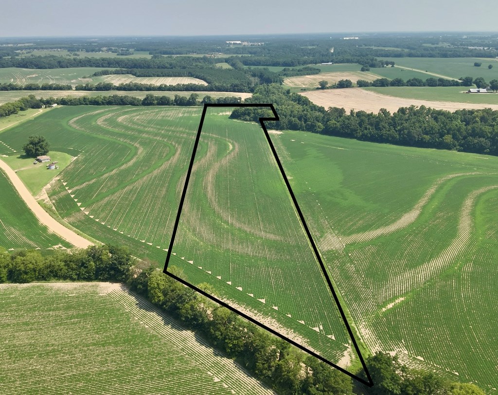 18.33-acres Burdeshaw Road Headland, AL 36345 - Photo 11 of 12