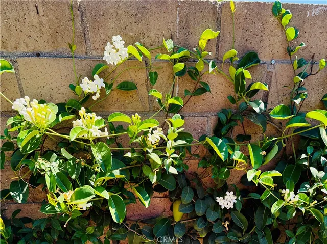 $4,400 | 1429 East Albion Lane, Orange, CA 92866