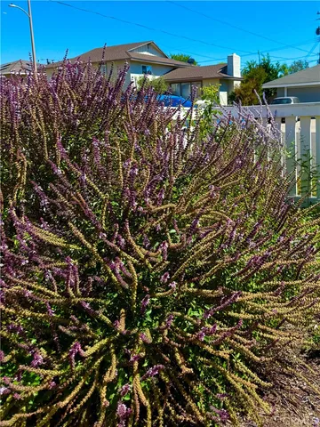 $4,400 | 1429 East Albion Lane, Orange, CA 92866