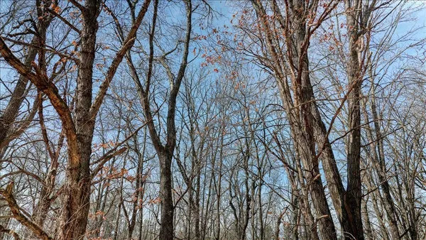$133,900 | 12.96-acres County Road A, Grand Marsh, WI 53936