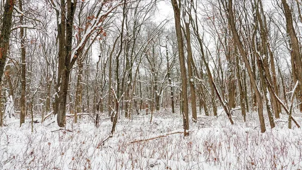 $133,900 | 12.96-acres County Road A, Grand Marsh, WI 53936