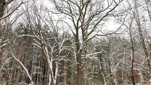 $133,900 | 12.96-acres County Road A, Grand Marsh, WI 53936