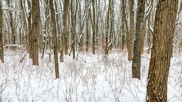 $133,900 | 12.96-acres County Road A, Grand Marsh, WI 53936