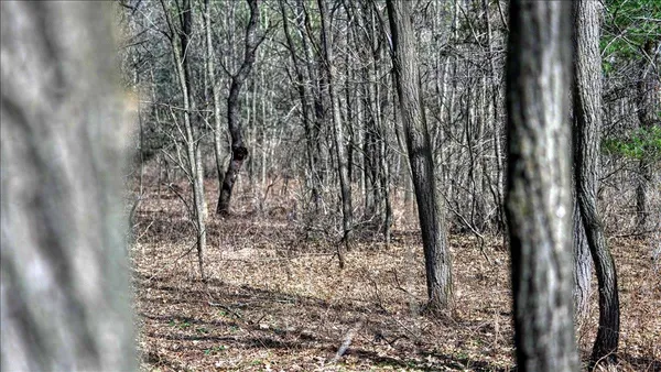 $133,900 | 12.96-acres County Road A, Grand Marsh, WI 53936