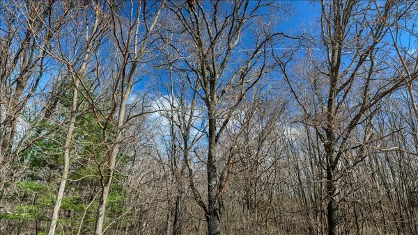 $133,900 | 12.96-acres County Road A, Grand Marsh, WI 53936