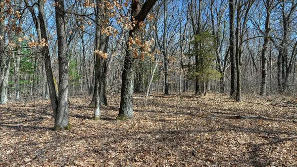 $133,900 | 12.96-acres County Road A, Grand Marsh, WI 53936