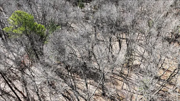 $133,900 | 12.96-acres County Road A, Grand Marsh, WI 53936