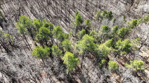 $133,900 | 12.96-acres County Road A, Grand Marsh, WI 53936