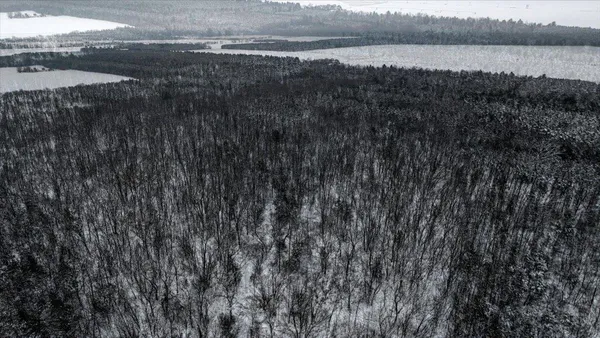 $133,900 | 12.96-acres County Road A, Grand Marsh, WI 53936