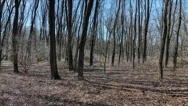 $133,900 | 12.96-acres County Road A, Grand Marsh, WI 53936