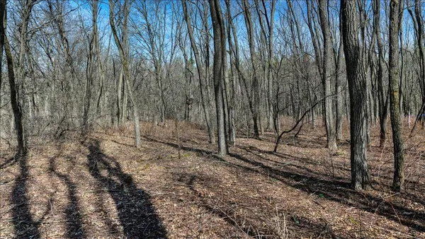 $133,900 | 12.96-acres County Road A, Grand Marsh, WI 53936