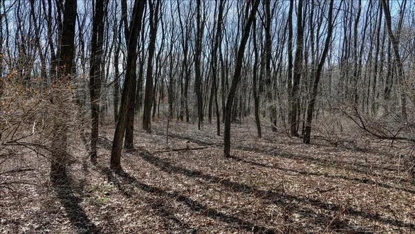 $133,900 | 12.96-acres County Road A, Grand Marsh, WI 53936