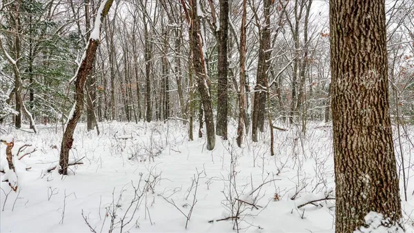 $133,900 | 12.96-acres County Road A, Grand Marsh, WI 53936