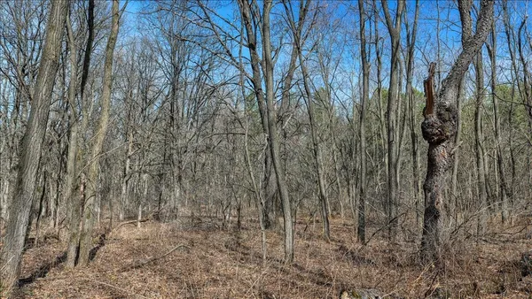 $133,900 | 12.96-acres County Road A, Grand Marsh, WI 53936