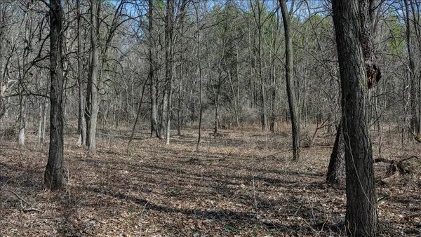 $133,900 | 12.96-acres County Road A, Grand Marsh, WI 53936