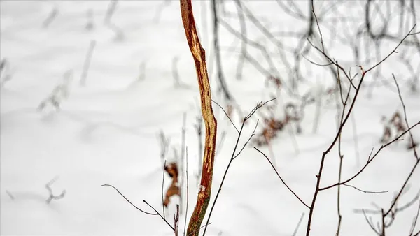 $133,900 | 12.96-acres County Road A, Grand Marsh, WI 53936