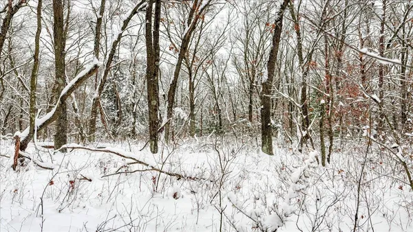 $133,900 | 12.96-acres County Road A, Grand Marsh, WI 53936