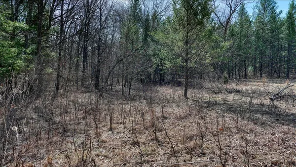 $133,900 | 12.96-acres County Road A, Grand Marsh, WI 53936