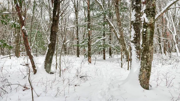 $133,900 | 12.96-acres County Road A, Grand Marsh, WI 53936