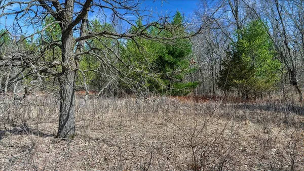 $133,900 | 12.96-acres County Road A, Grand Marsh, WI 53936