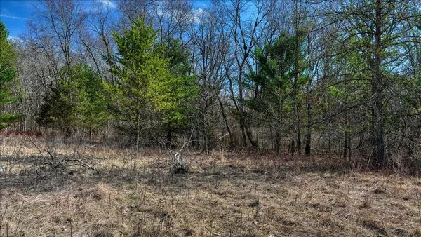 $133,900 | 12.96-acres County Road A, Grand Marsh, WI 53936