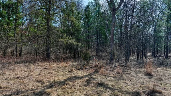 $133,900 | 12.96-acres County Road A, Grand Marsh, WI 53936
