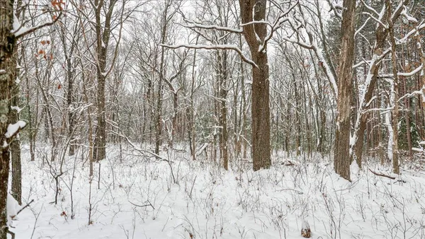 $133,900 | 12.96-acres County Road A, Grand Marsh, WI 53936