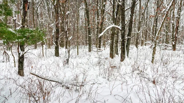 $133,900 | 12.96-acres County Road A, Grand Marsh, WI 53936